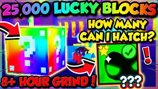 😲BREAKING *25,000* LUCKY BLOCKS in PET SIMULATOR X (Roblox)