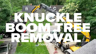 Knuckleboom Tree Removal Short