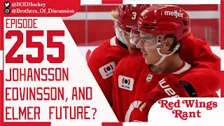 Edvinsson, Johansson, and Soderblom Detroit Red WIngs futures after the Preseason