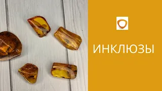 Инклюзы