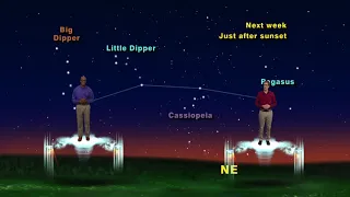 Star Gazers Aug 27 - Sept 2nd 5 Min