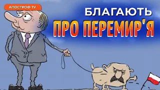 ПУТІН ВИМАГАЄ ПЕРЕМИР'Я вустами Лукашенко: фронт має терміново зупинитися