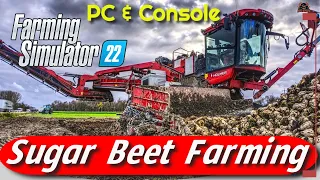 Master the Art of Sugar Beet Farming in Farming Simulator 22