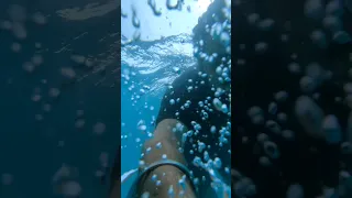 Underwater With Google Pixel 6A #google #pixel #pixel6a #googlepixel6a #underwater #watertest