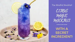 Citrus Magic Mocktail Recipe | Summer Mocktails and Non-Alcoholic Cocktails - The Mindful Mocktail