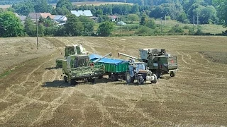 Żniwa 2016 w Gospodarstwie Rolnym Mokrzyn!