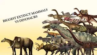 Biggest Extinct Rhino & Elephant vs Biggest Dinosaur Species Sizes