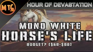 Mono White: A Horse's Life in HOU Standard! Budget Deck Tech ($60-$80)!