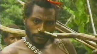 1976 год Племя и Цивилизация
