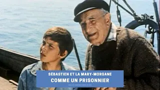 Comme un prisonnier | Musique de Sébastien et la Mary-Morgane