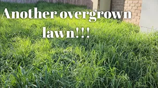 Wet, overgrown lawn tamed in 1 hour - satisfying clean-up.