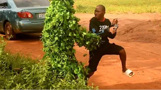 bushman prank | Best of the Best African REACTIONS