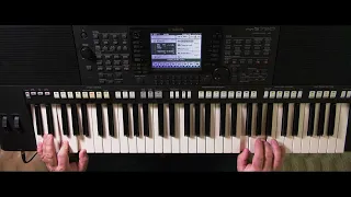 Gaz, Gaz, Gaz ♬ / Bara Bara ♬ cover Yamaha PSR-S750