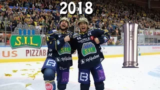 STORHAMAR HOCKEY VINNER NM-GULL 2018