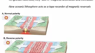 Magnetic Anomalies and Plate Reconstruction (C2-V2)