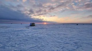 оз. Увельды, база Урал, искали рипуса, но нашли других....