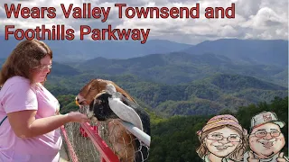 Day Trip in the Smokies "Wears Valley Townsend loop" and Foothills Parkway