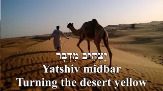 Orcha Bamidbar Desert Caravan Yamma Ensemble Hebrew+English Lyrics אורחה במדבר אנסמבל יאמה כתוביות