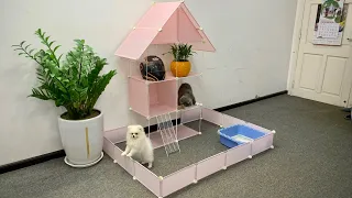 How To Build Garden House for Pomeranian Poodle Puppies & Kitten with Wood & Metal - Mr Pet #25