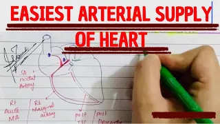 Easiest way to memorize  ARTERIAL SUPPLY OF HEART | MEDICINE with DR SHAMAMA.