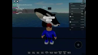 One Ocean | SeaWorld Orlando Roblox