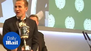 PFA Awards 2015: Harry Kane wins Young Player of the Year - Daily Mail