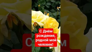 С Днём рождения, родной мой человек с днём рождения! #Short