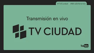 TV Ciudad EN VIVO | Seguí la transmisón en vivo 03/04/2024