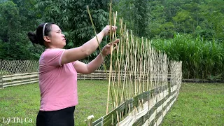 How to Build a Bamboo Fence to Prevent Chickens From Destroying Your Garden