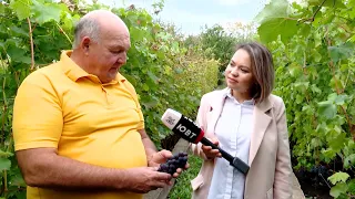 Фермер из Бугульминского района рассказал о секретах виноделия