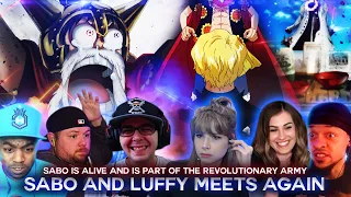 Sabo And Luffy Meets Again ! Reaction Mashup