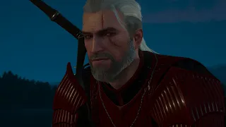 The Witcher 3 Диалог Геральта и Региса