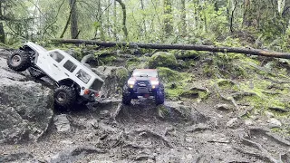 SCX6 Still "Sixy" Jurassic Forest P1