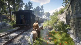 Developers Knew You Would Try This - Rdr2
