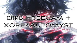 💜 Реальный слив FreeCam + XorekAutoMyst | FunTime 💸
