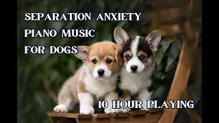 Separation Anxiety Relaxation for Dogs #puppy #dog #separationanxiety #piano #relaxing #calm