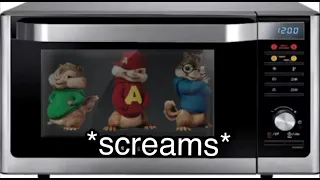 Alvin And The Chipmunks in a microwave but I fixed it