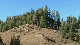 The Sinks Sasquatch Video in Logan Canyon #shorts