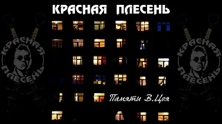 КРАСНАЯ ПЛЕСЕНЬ - ПАМЯТИ В.ЦОЯ | ПОЛНЫЙ АЛЬБОМ | 2021