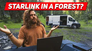Will Starlink Work in a Forest?