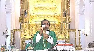 Eight Week Of Ordinary Time - Tuesday  - 25 May 7:00 AM - Fr Peter Fernandes