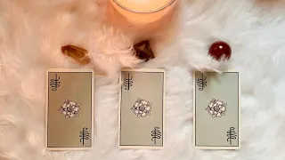 How Can You Recognize Your Future Spouse? 👰🏼‍♀️🤵‍♂️Timeless Tarot Reading
