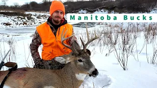 MANITOBA WHITETAIL DEER HUNT (5 DAYS, BLIZZARDS AND MULE DEER)