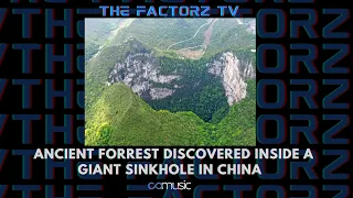 Ancient forrest discovered inside a giant sinkhole in China| The Factorz TV