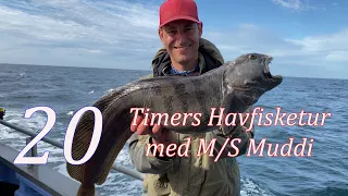 20 Timers Havfisketur med M/S Muddi
