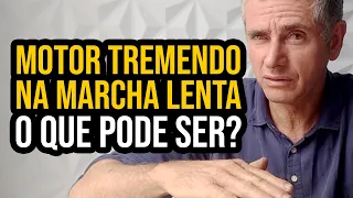 Motor tremendo na marcha lenta | O que pode ser?