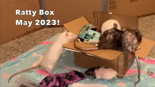 Reviewing May 2023's Ratty Box!