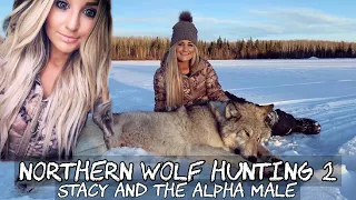 NORTHERN WOLF HUNTING 2: Stacy & The Alpha Male