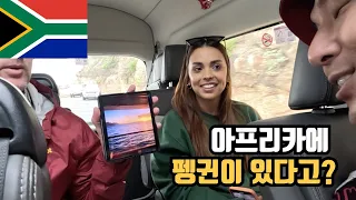 🇿🇦남아프리카 공화국 원데이 투어 ep113