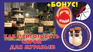 Муравьиная ферма. Сироп для муравьев.